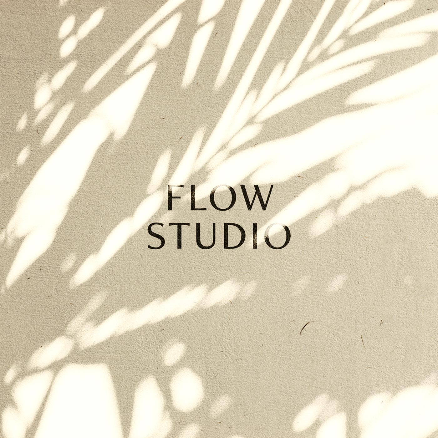 thomas-sturm-flow-studio-f